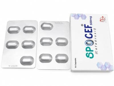 Spocef 500mg (Cefadroxil)
